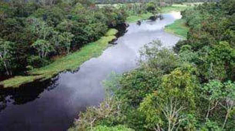 Pagar�n a agricultores para que planten �rboles en el Amazonas.