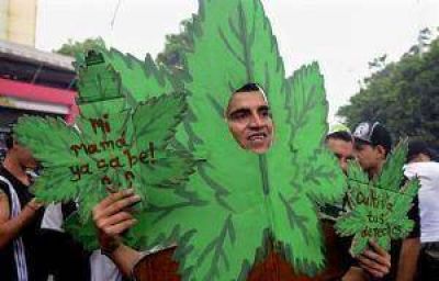 Sanjuaninos marchar�n para que se legalice el consumo de marihuana