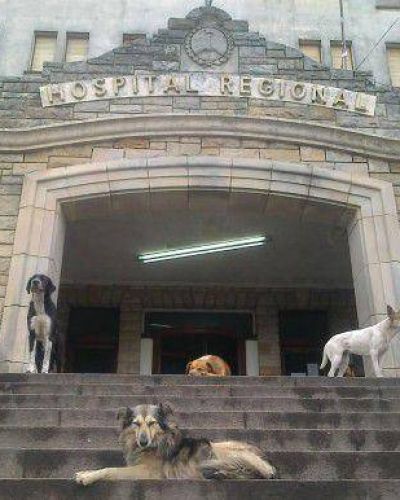 Afirman que �la guardia del HIGA est� saturada� y que �hace falta mantenimiento�