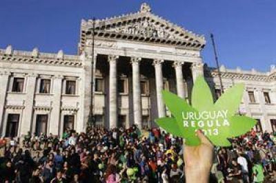 Uruguay reglamenta la ley de la marihuana