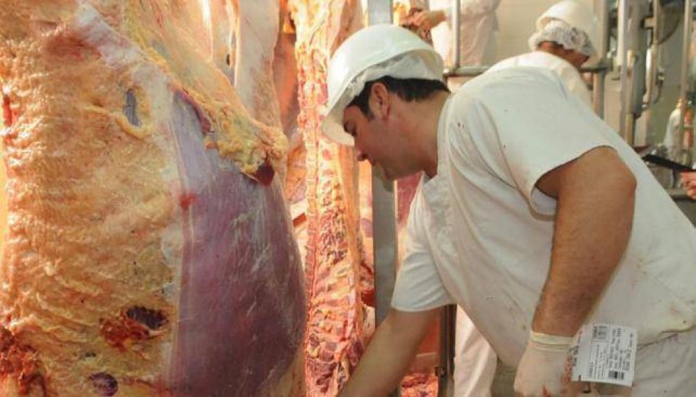 Desde 2006, las exportaciones de carne vacuna cayeron 78%