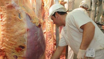 Desde 2006, las exportaciones de carne vacuna cayeron 78%