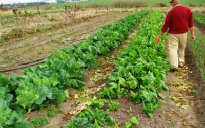 Se realiz� con �xito la primera jornada de Agricultura Familiar