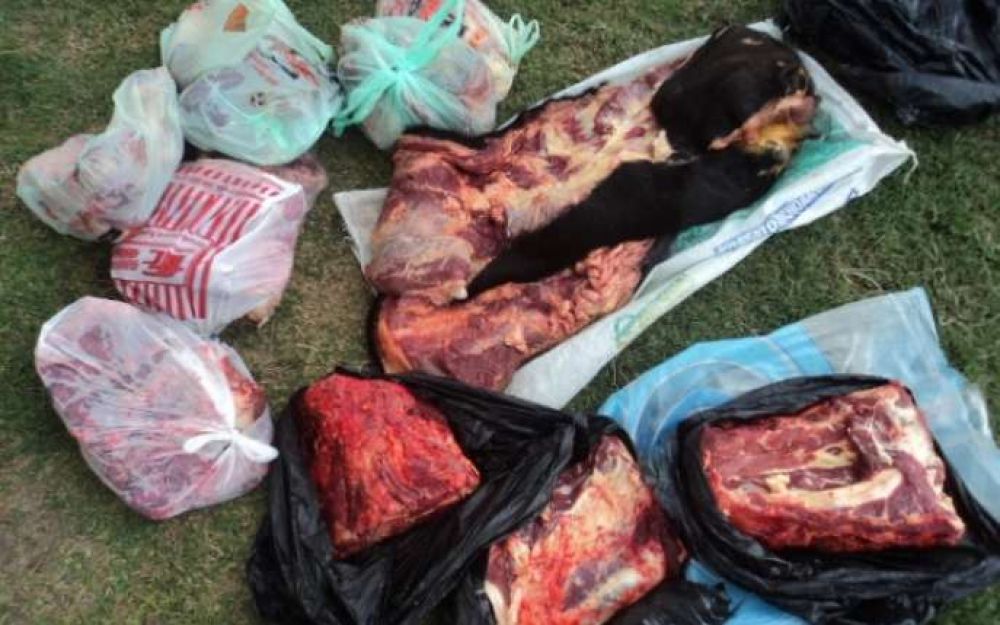 Un cuidador de animales vacunos fue sorprendido en faena clandestina