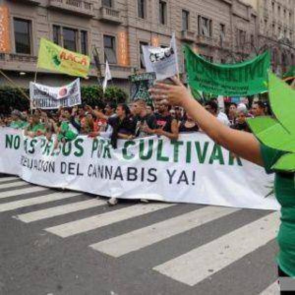 Multitudinaria marcha en todo el pas por la regulacin del cannabis