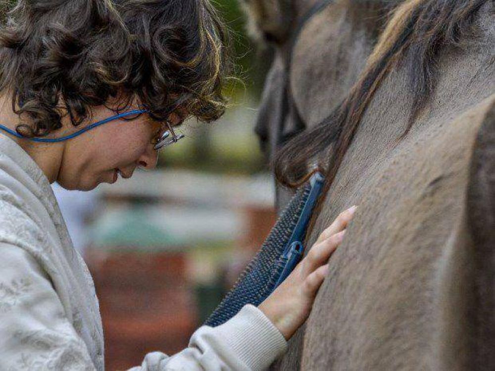 Zooterapia, una herramienta clave para mejorar la salud