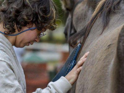 Zooterapia, una herramienta clave para mejorar la salud