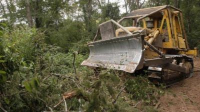 Ambientalistas aclararon por la campa�a contra un desmonte