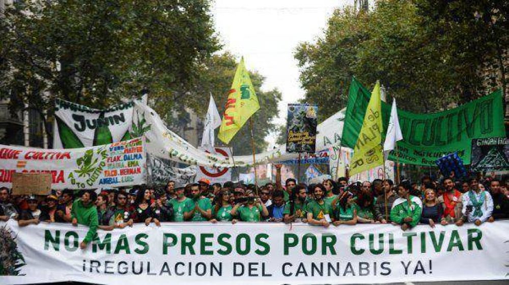 Marchas en todo el pa�s por la legalizaci�n de la marihuana