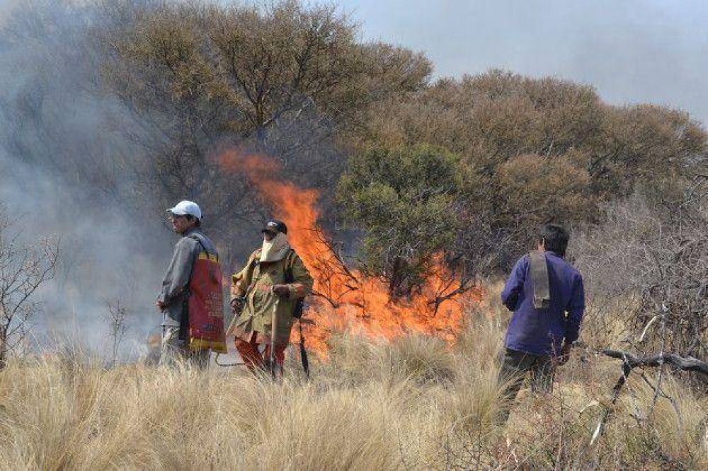 San Luis cuenta con m�s de 550 combatientes de incendios