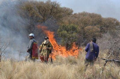 San Luis cuenta con m�s de 550 combatientes de incendios