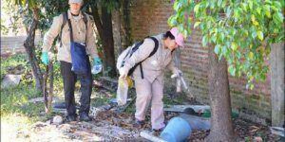 Dengue: tareas preventivas en toda la zona norte de la ciudad capital