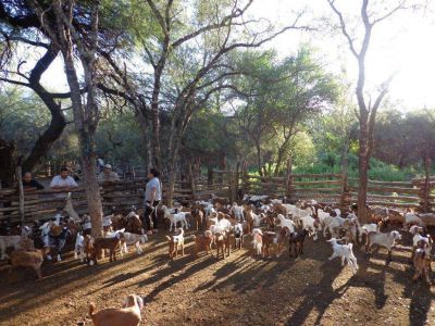 Resaltan el rol de Formosa en un programa sobre manejo de suelos