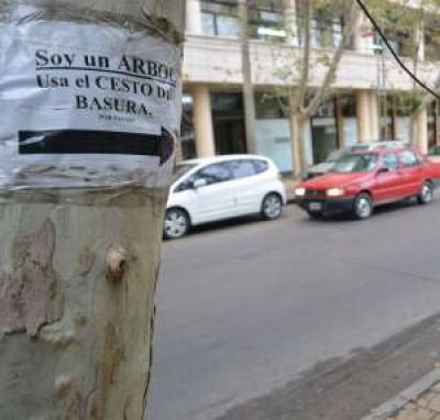 Campa�a contra la basura c�ntrica hasta en los �rboles