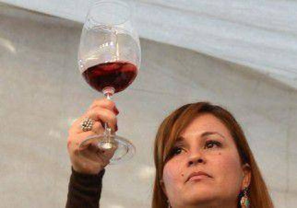 Los vinos tuvieron su presencia en el Festival del Chef de Pehuenia 