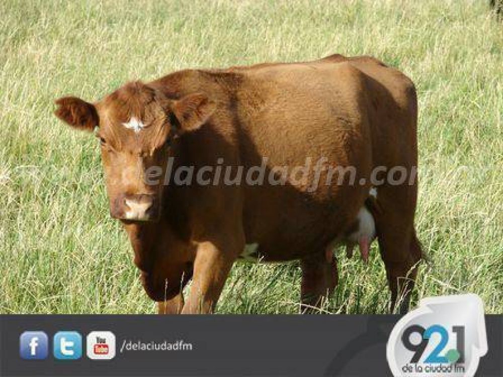 La Alianza har� el 25� remate conjunto en Puan