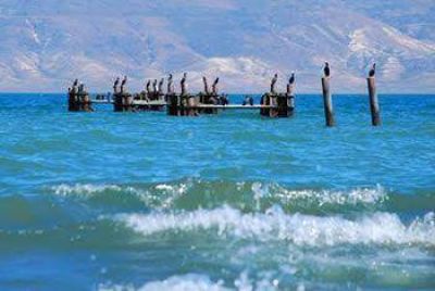 Petroleros perdidos: un centenar de personas buscan rastros en el lago Muster