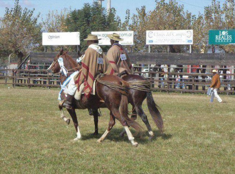 Culmin con xito el 33 Concurso Nacional de Caballos Peruanos de Paso