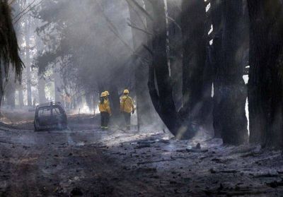 Personal temporario del Splif pasar� a planta permanente