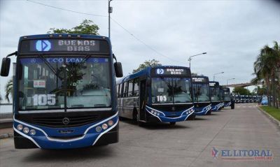 Presentaron unas 20 nuevas unidades para el transporte urbano