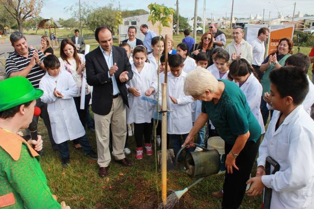 Plan de Arbolado: este a�o se plantar�n m�s de 6500 ejemplares en toda la ciudad