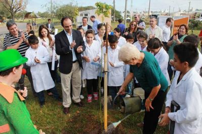 Plan de Arbolado: este a�o se plantar�n m�s de 6500 ejemplares en toda la ciudad