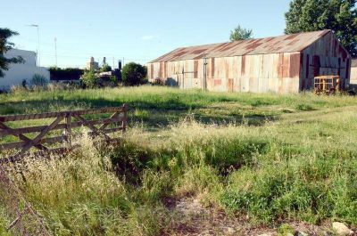 Diputados aprob� el pedido de construcci�n del edificio de Artes Visuales