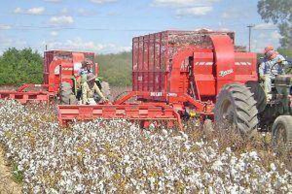 La gobernadora y Casamiquela firman hoy convenios clave para la producci�n
