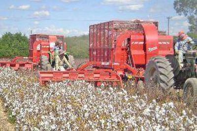 La gobernadora y Casamiquela firman hoy convenios clave para la producci�n