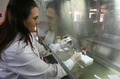 La Corte Suprema declar� inconstitucional el uso p�blico de c�lulas madre