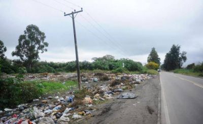 Transformar�n un basural en un bosque