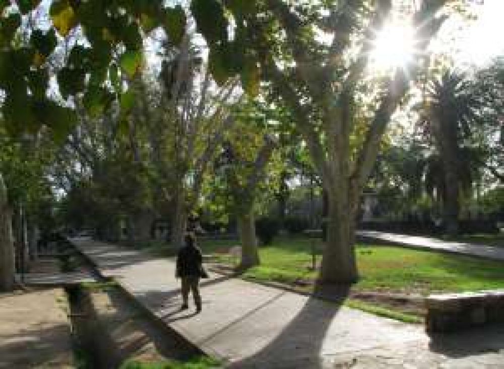 Cambiar� el sistema de multas por poda mal hecha