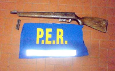 Varios operativos por delitos rurales