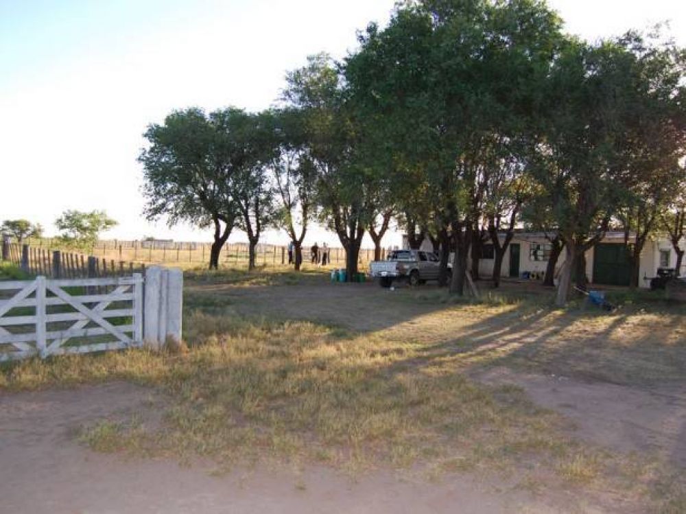 Caso Kravetz: la polic�a realiza fuertes allanamientos en casas y campos de Buena Esperanza
