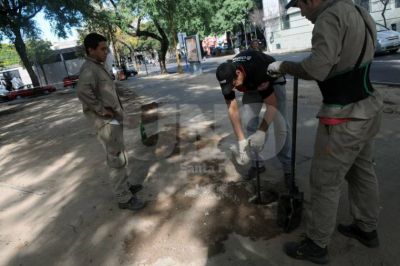 Cierran el parque Alberdi para la construcci�n de las cocheras
