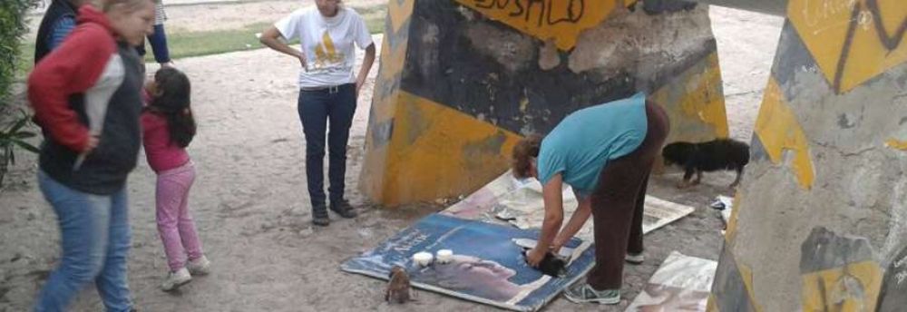 Macabro: vecinos aseguran que indigentes comieron cad�veres de perros