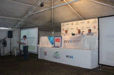 Expertos nacionales coinciden en que la �ganader�a formose�a marca el rumbo�