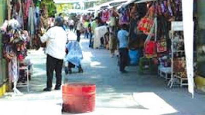 El proyecto del Paseo de Las Flores se elabora en Tucum�n