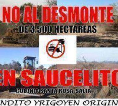 El desmonte no para