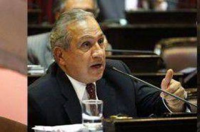 Una vuelta por el senado nacional