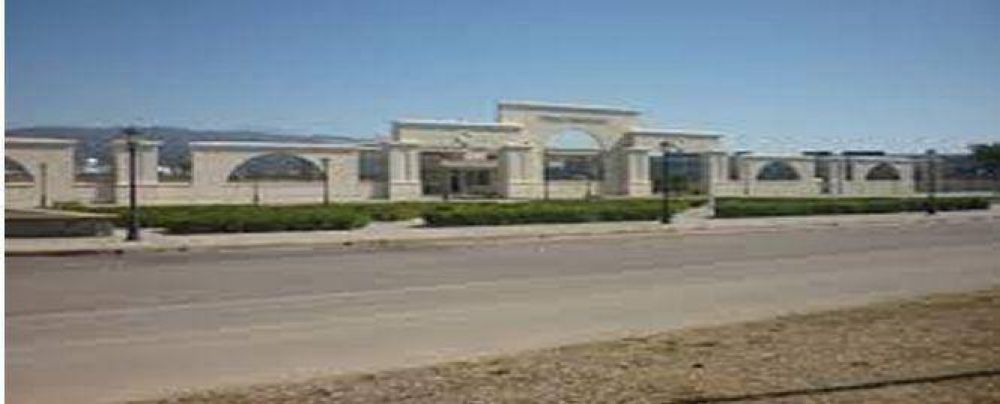 El Parque del Bicentenario avanza cada vez m�s