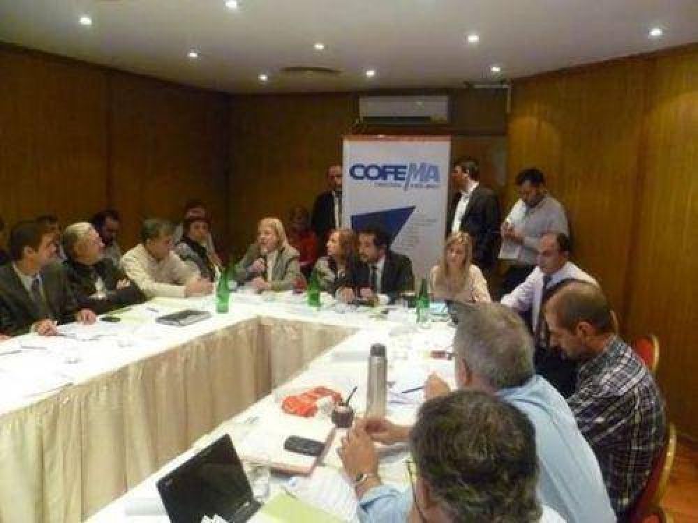 Misiones pidi� al COFEMA modificar matriz de asignaci�n de fondos de bosques