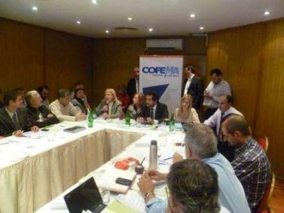 Misiones pidi� al COFEMA modificar matriz de asignaci�n de fondos de bosques