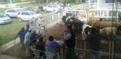 Remataron 90 cabezas de ganado secuestrado
