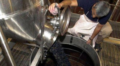 Alerta por despidos en distintas bodegas del sur provincial