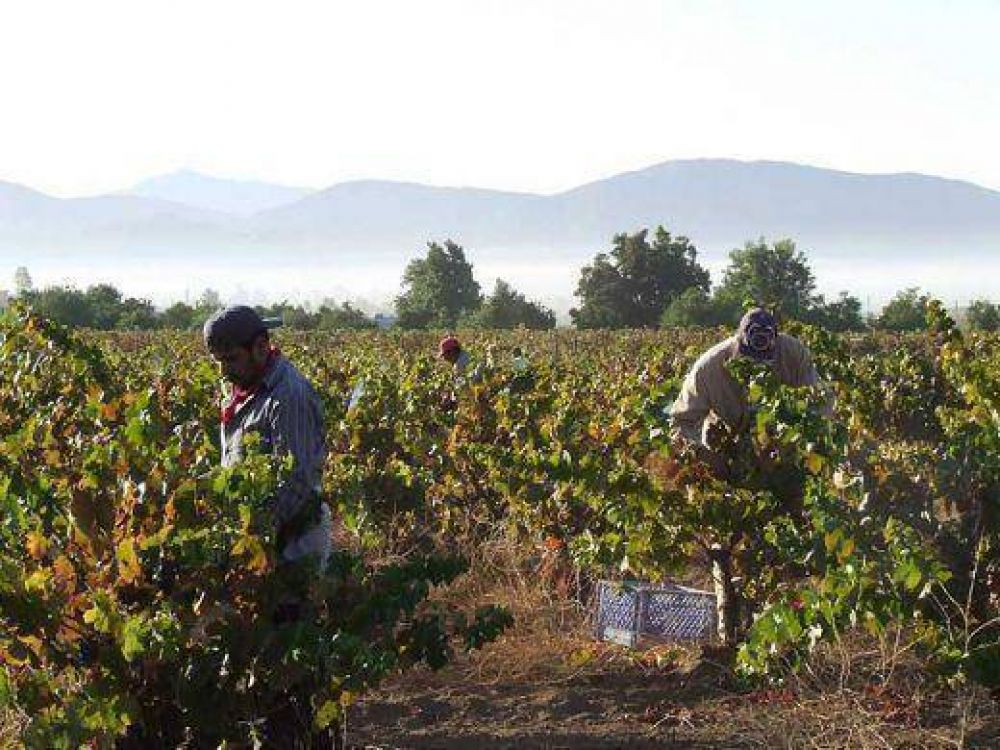 Preocupaci�n por el cr�tico estado del sector agropecuario
