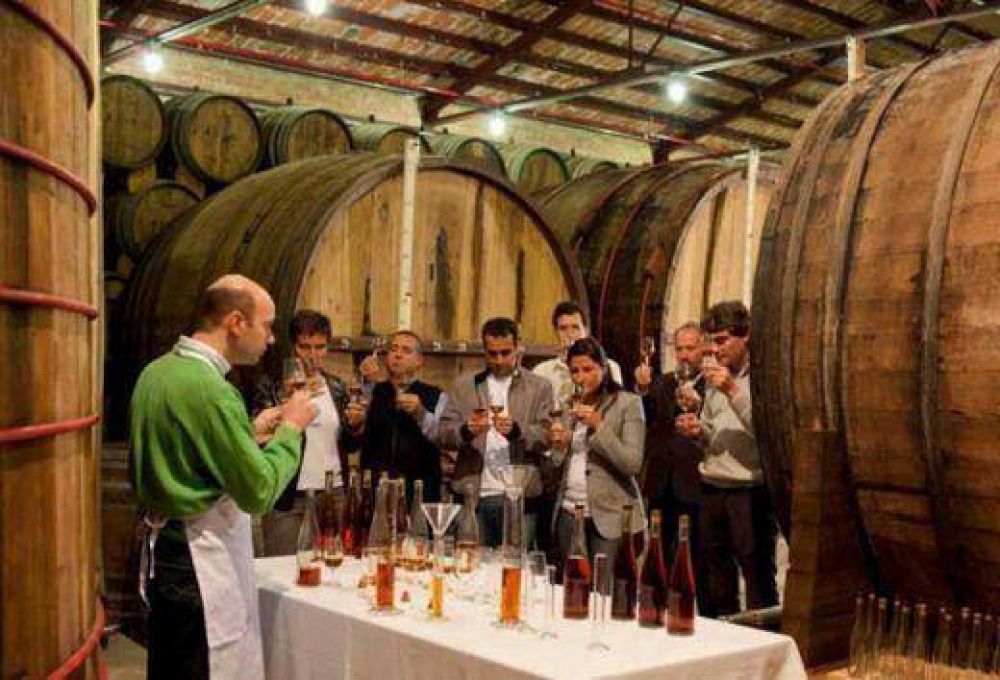 Especialistas brasile�os recorrer�n puntos tur�sticos de Mendoza
