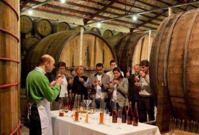 Especialistas brasile�os recorrer�n puntos tur�sticos de Mendoza