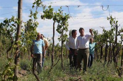 Diez millones de pesos para el Sur por el Fondo Solidario Agr�cola