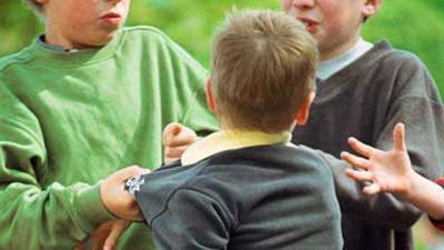 Proponen crear una l�nea 0800 �Bullying�
